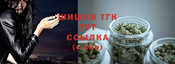 дмт Богородск
