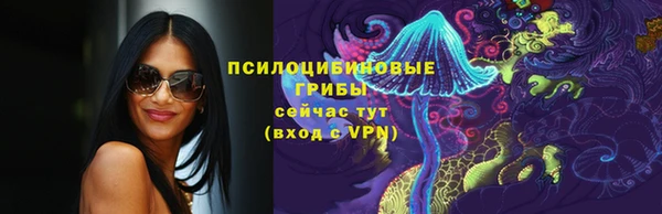 дмт Богородск