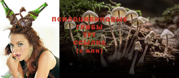 МДМА Богородицк