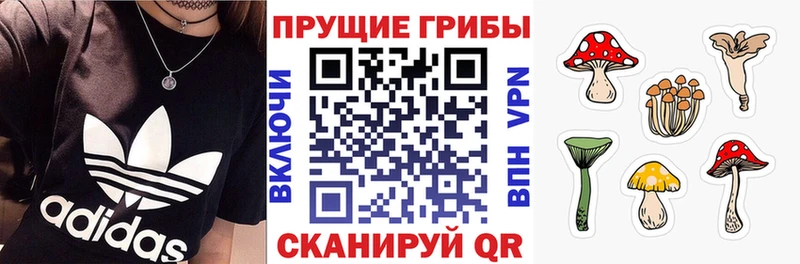 Галлюциногенные грибы прущие грибы  Краснокаменск 