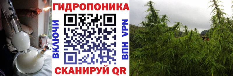 Бошки марихуана тримм  Краснокаменск 